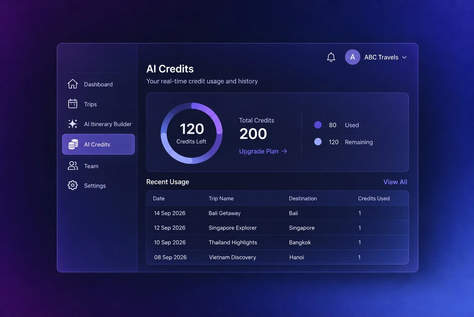 Image showing Credit Usage Dashboard
